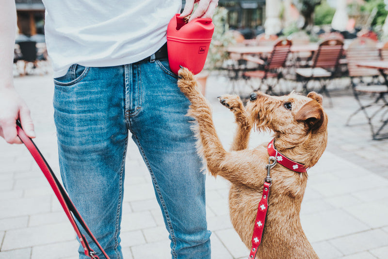 SWISS adjustable leash - red