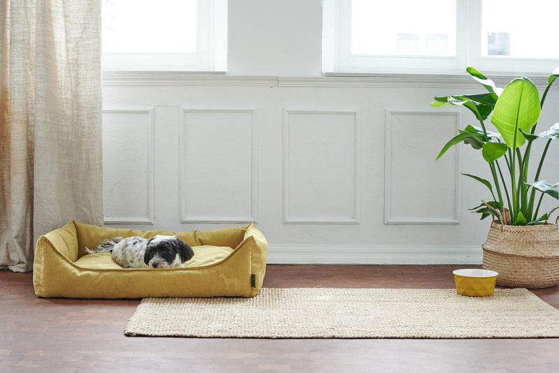 EIBY bed - yellow