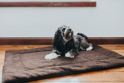 FULLY dog pad - brown