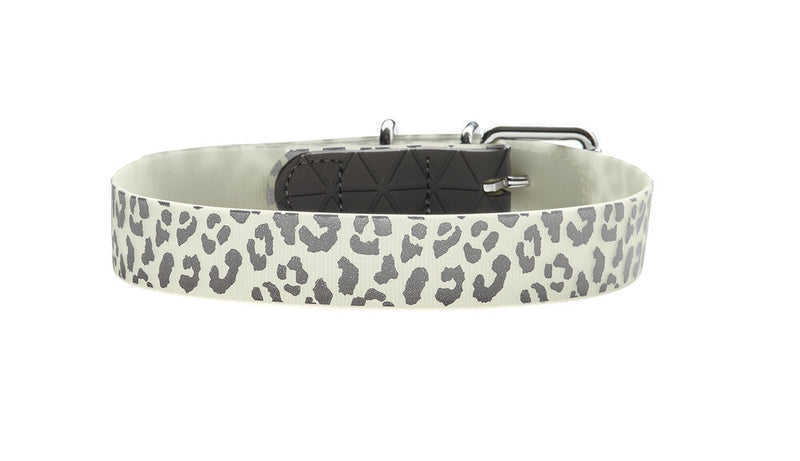 CONVENIENCE Reflect Glow collar - Leopard