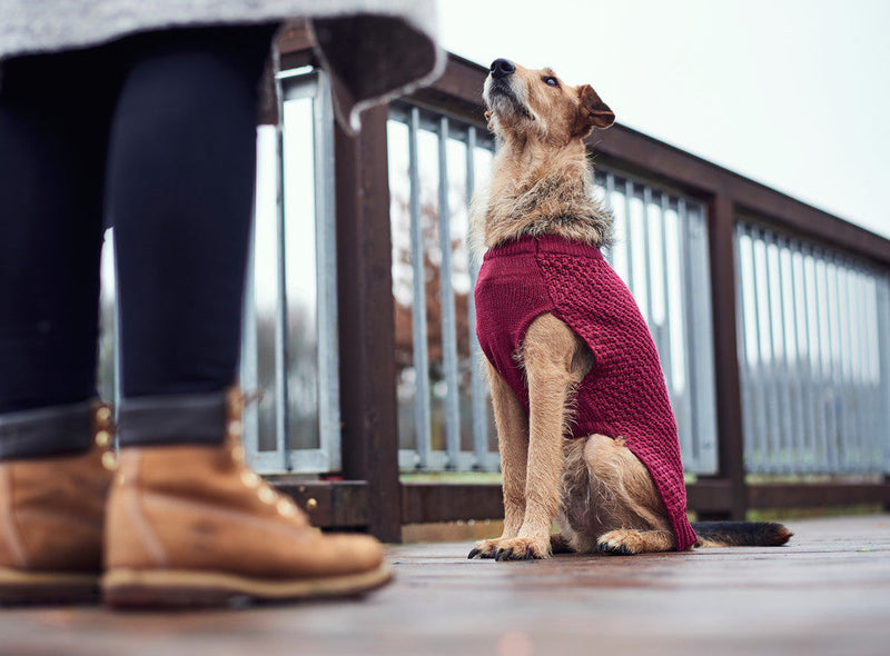 MALMÖ dog sweater - burgundy