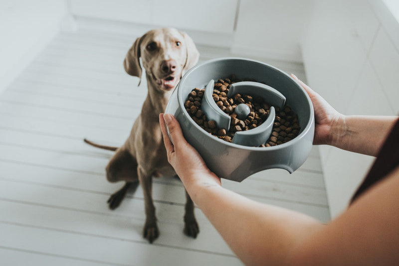 ATLANTA slow feeding bowl - gray