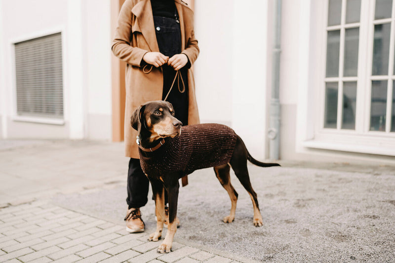 FINJA dog sweater - brown