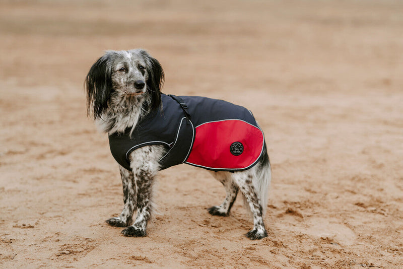 UPPSALA ALLROUNDER dog coat - anthracite/red