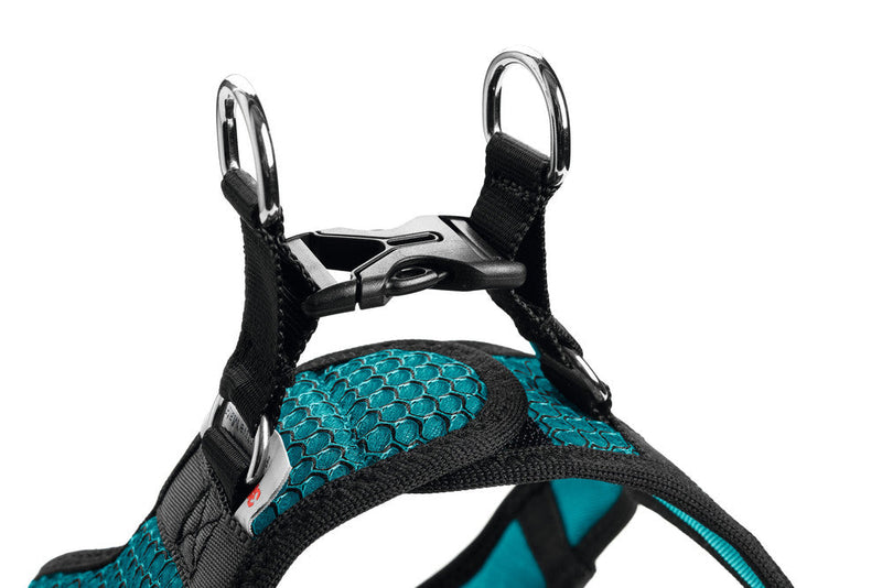 HILO COMFORT harness - turquoise