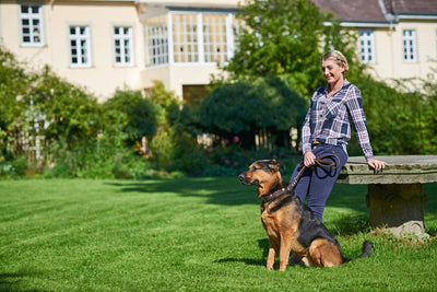 SWISS adjustable leash - brown