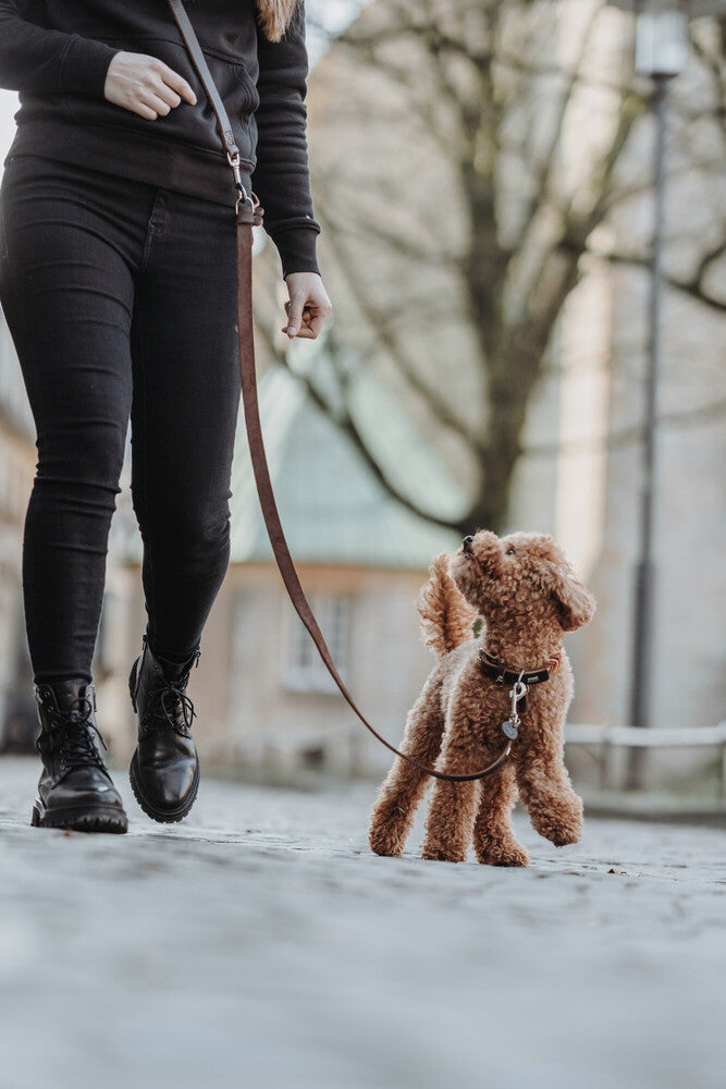 AALBORG adjustable leash with slider - dark brown