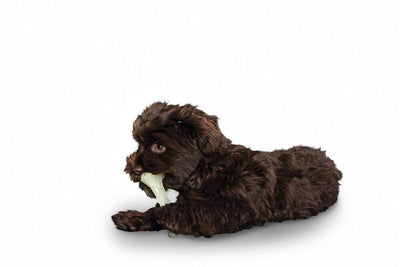 Dog toy KISA Bone