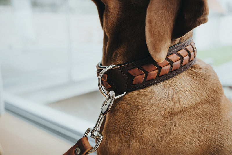 EL PASO collar - dark brown