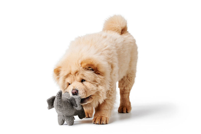 Dog toy EIBY Elephant