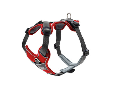 DIVO harness - red
