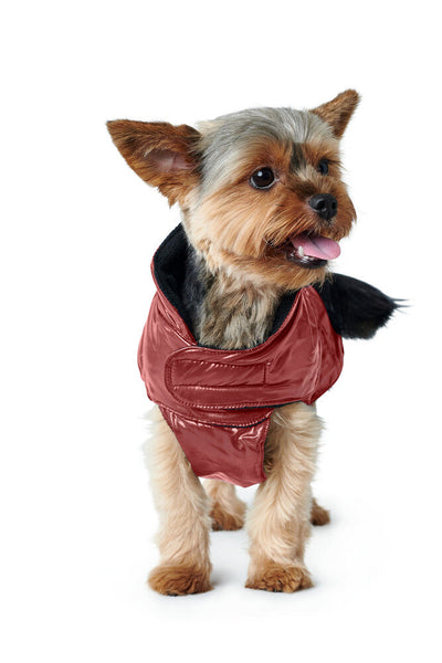 TAMPERE dog coat - red
