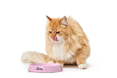 MOULINS cat bowl - pink