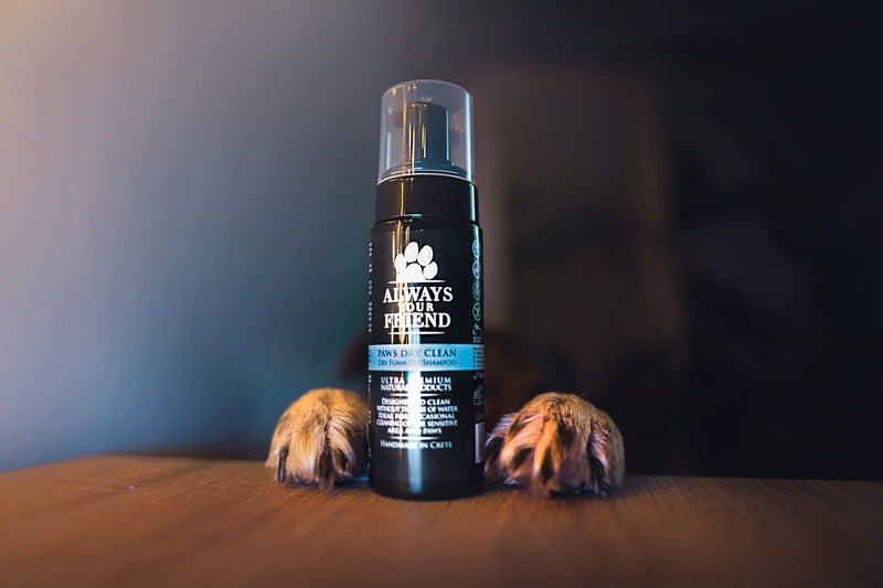 AYF Dry shampoo Paws Dry