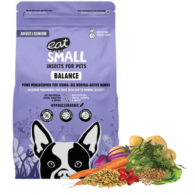 Dry food for dogs with insects - Balance