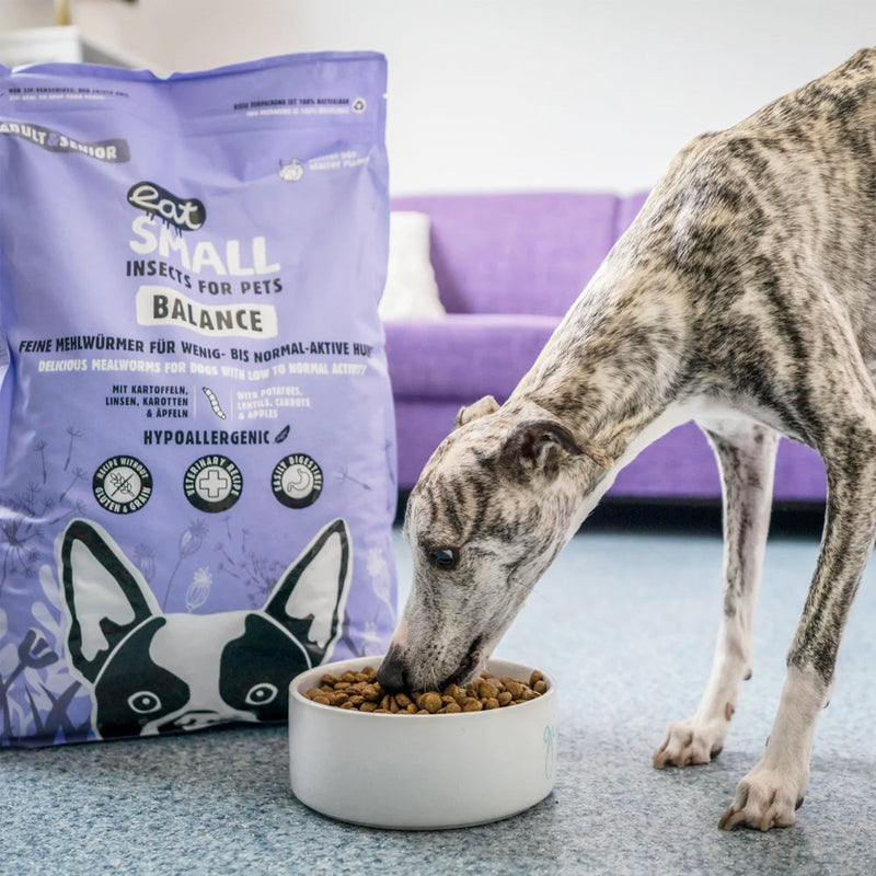 Dry food for dogs with insects Balance We love dogs SK