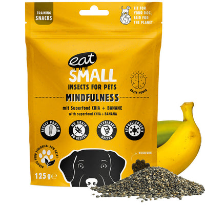Dog treats with insects - Mindfulness