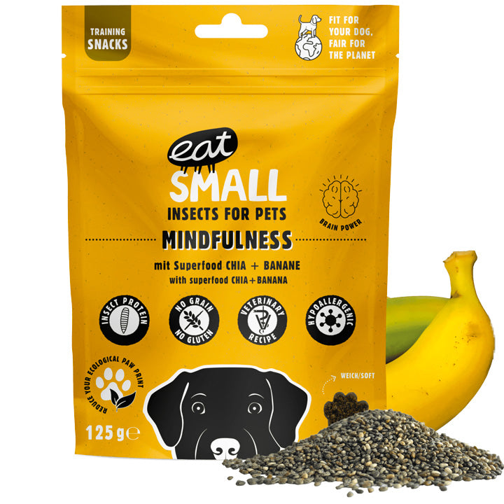 Dog treats with insects - Mindfulness